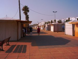 Camino de grullo