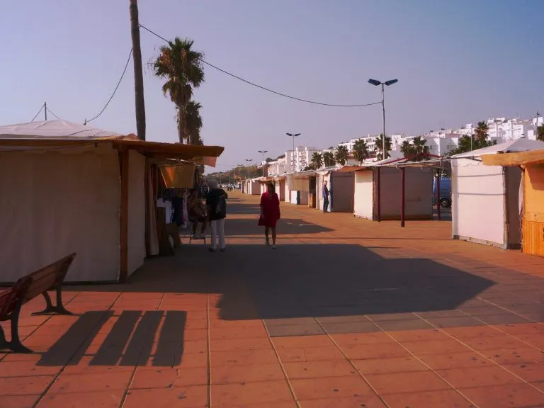 Camino de grullo