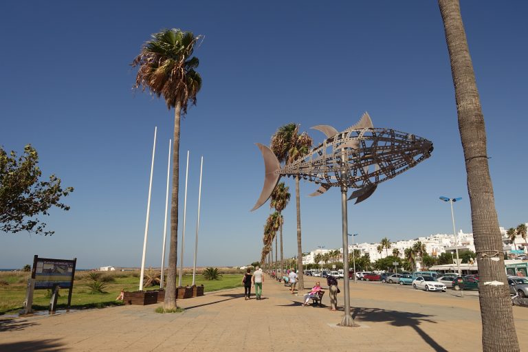 Tren Turístico de Conil