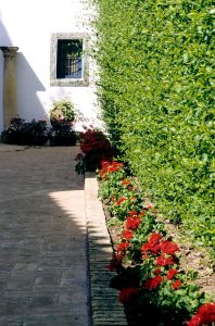 Mercado de Arte de Conil